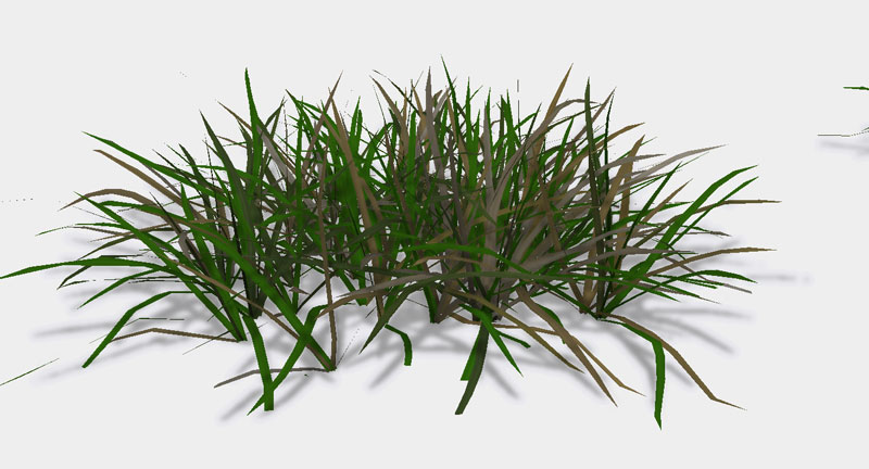 植物